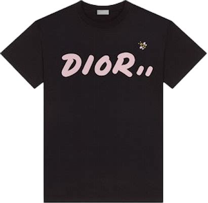 KAWS x Dior Logo T